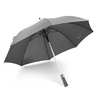 Parapluie DOMTOWN