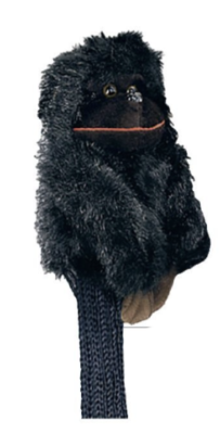 Capuchon Singe