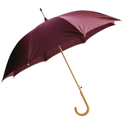Parapluie WOODTOWN