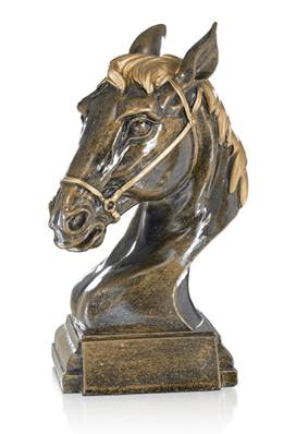 Trophée Equitation 3820309