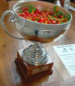 Tees bois <BR>Logo Tige